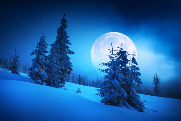 istock Majestic moon rise in a winter forest covered with fresh snow 1223605489
