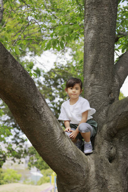 istock Japanese girl climbing the tree (5 years old) 1223606278