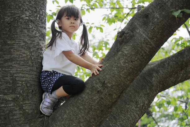 istock Japanese girl climbing the tree (5 years old) 1223607042