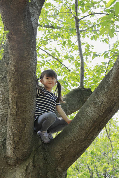 istock Japanese girl climbing the tree (5 years old) 1223607057