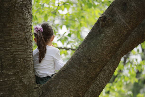 istock Japanese girl climbing the tree (appearance from behind) (5 years old) 1223607104