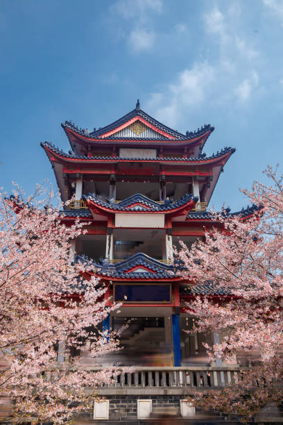 istock Spring in Wuxi Park, Jiangsu Province, China 1223608187