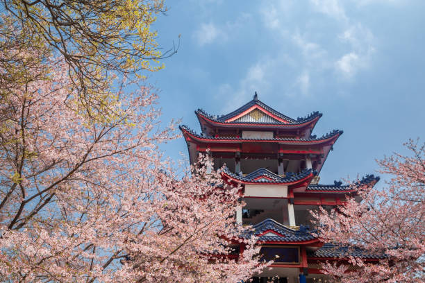 istock Spring in Wuxi Park, Jiangsu Province, China 1223608195