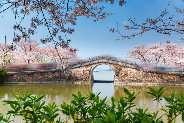 Spring in Wuxi Park, Jiangsu Province, China Spring in Wuxi Park, Jiangsu Province, China wuxi photos stock pictures, royalty-free photos & images