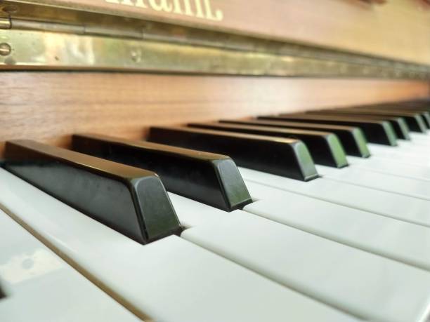 istock Beautiful real wooden piano. 1223609319