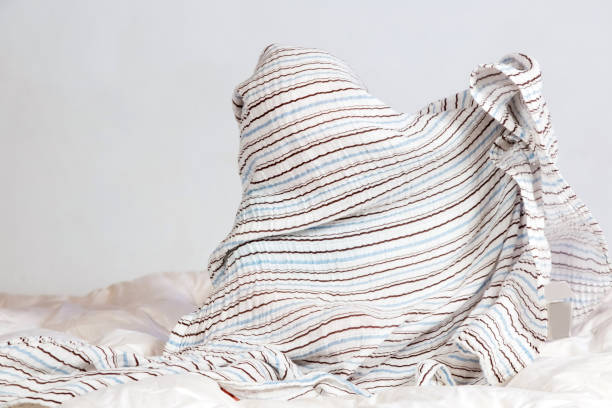 istock Caucasian Toddler playing under a striped blanket on white duvet bedding 1223609947