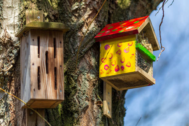 Birdhouse in de lente
