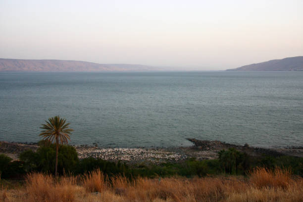 istock The Sea of Galilee 1223614358