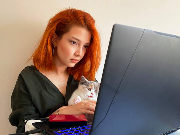 istock girl and cat looking at the computer 1223615230