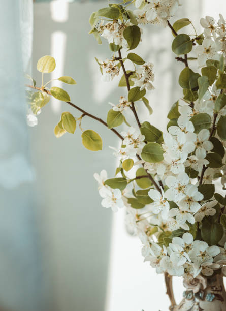istock Bouquet of pear flowers 1223615337