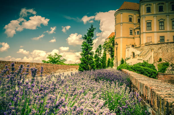 Mikulov, Moravia, Czech Republic; June 16, 2018: Mikulov castle seen from its garden area with a lavender flowerbed