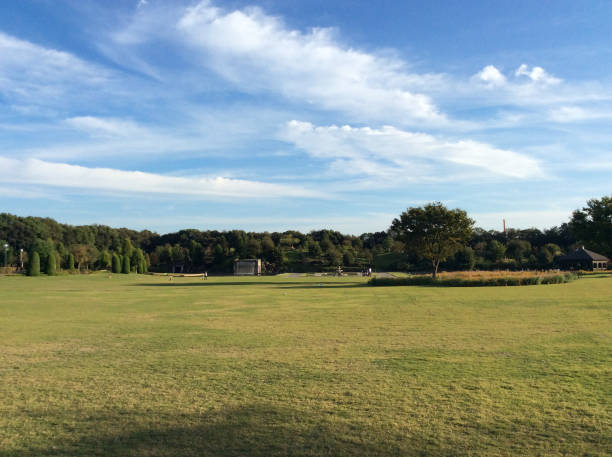 istock Wide open field in autumn park 1223616241