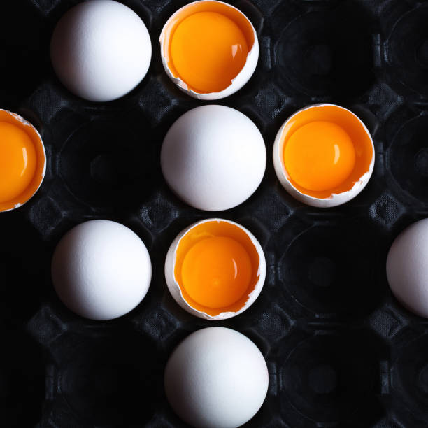 istock the story of a special chicken egg 1223616893
