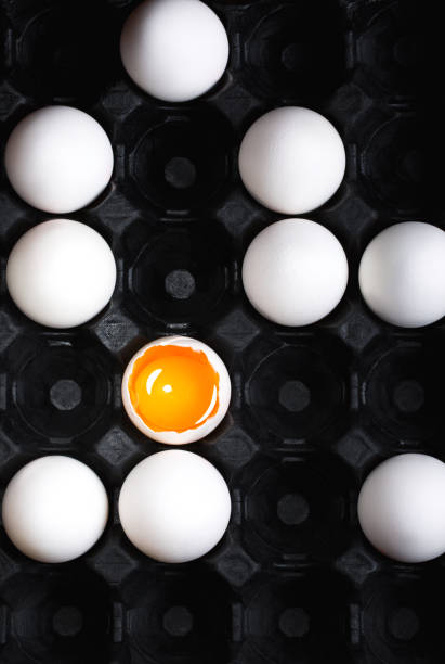 istock the story of a special chicken egg 1223617017
