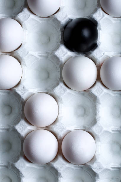 istock the story of a special chicken egg 1223617046