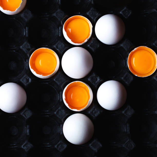 istock the story of a special chicken egg 1223617110