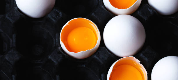 istock the story of a special chicken egg 1223617296
