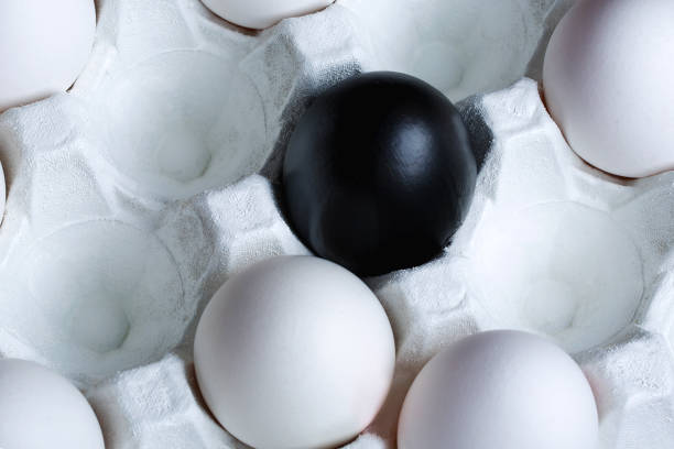 istock the story of a special chicken egg 1223617337