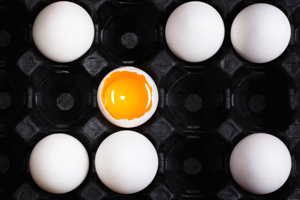 istock the story of a special chicken egg 1223617390