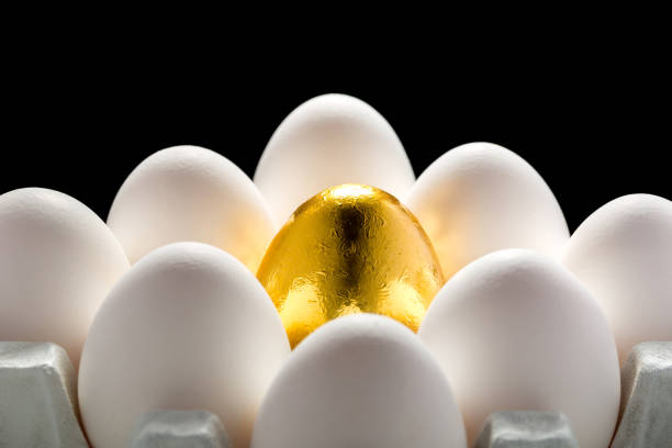 istock the story of a special chicken egg 1223617419