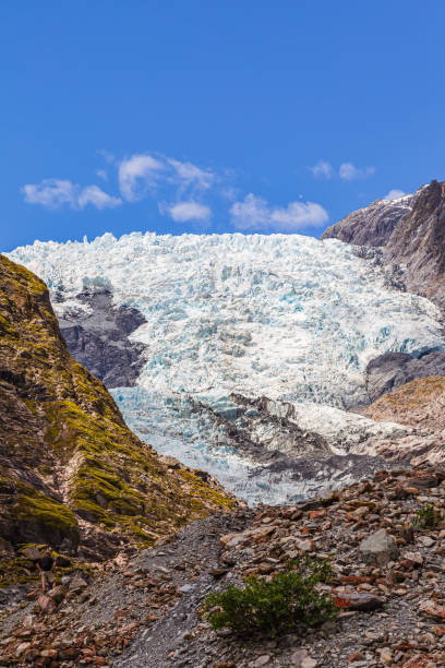 フランツ・ジョセフ氷河ニュージーランド 南島 石と氷 - falling glacier snow alp ストックフォトと画像