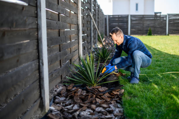 istock A guy gardener planting a bush 1223619522