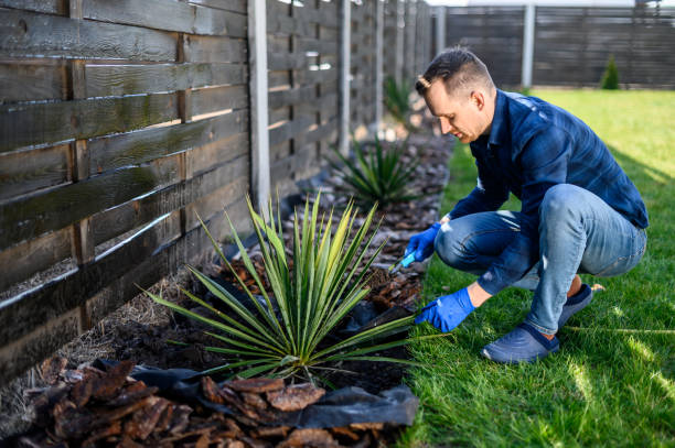istock A guy gardener planting a bush 1223619523