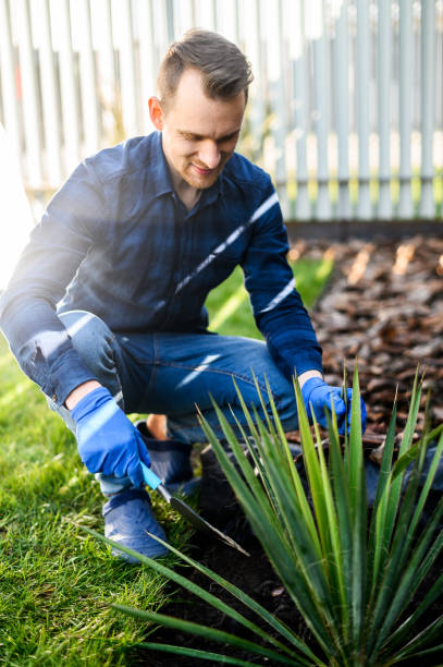 istock A guy gardener planting a bush 1223619524