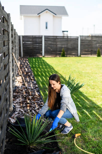 istock Young woman gardening in spring in the backyard 1223619533