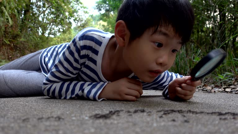 Smart boy watching ants with magnifying glass