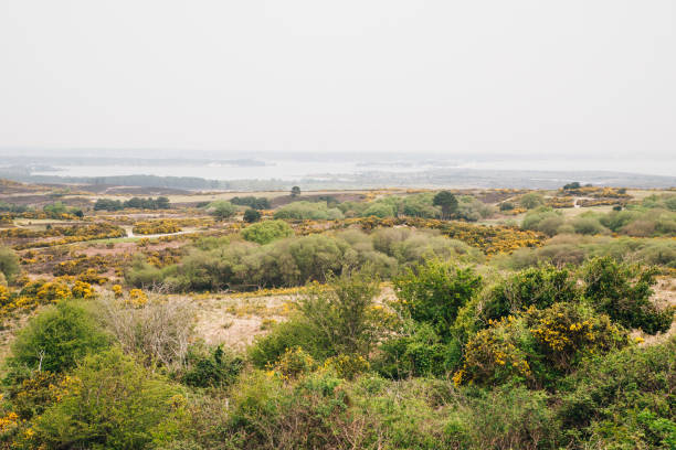 istock View from the top of the hill 1223622579