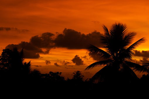 sunset sky orange colored