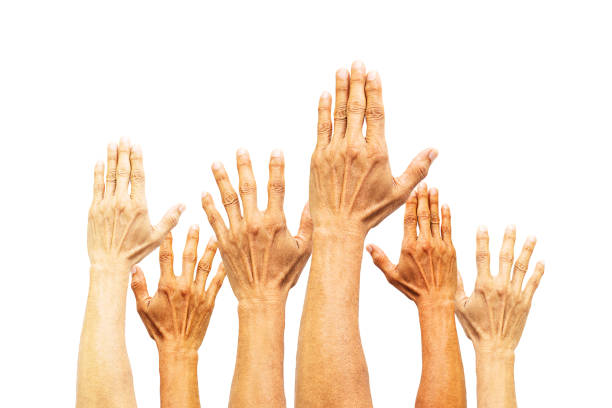 istock Group of hands raising on white background with clipping path 1223628745