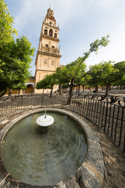 istock Cathedral of Cordoba 1223629846