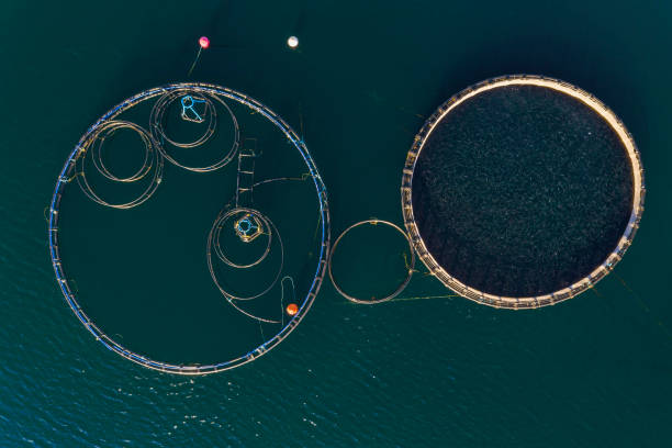 istock Fish farm with floating cages in Chalkidiki, Greece 1223632007