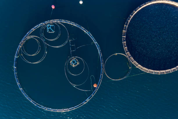 istock Fish farm with floating cages in Chalkidiki, Greece 1223632467