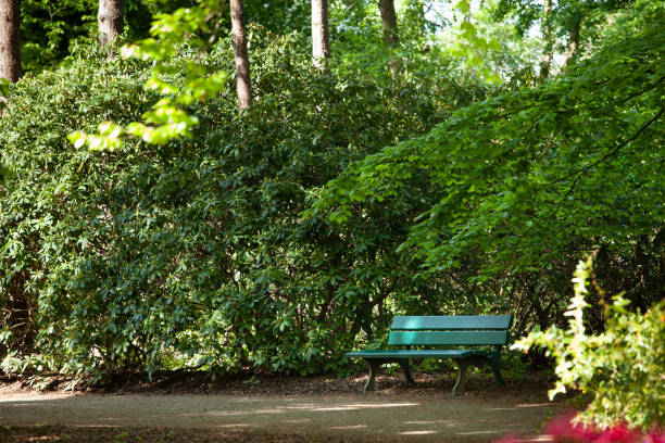 No People in the Spring Park . Green lawn and benches in the city park