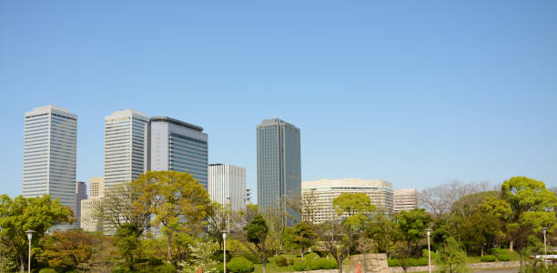 istock City view with green trees front and with building back in Osaka 1223635502