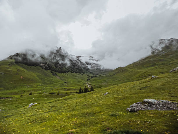 istock Panoramic image of mysterious green misty fog pine tree forest and mountains. Bucegi Mountains Romania Spring Day 1223636352