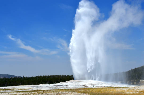 geyser old faithful in eruzione nel parco nazionale di yellowstone nel wyoming, stati uniti - stream river water spring foto e immagini stock