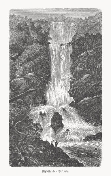 ilustraciones, imágenes clip art, dibujos animados e iconos de stock de cascada en gippsland, victoria, australia, grabado en madera, publicado en 1893 - rainforest waterfall australia forest