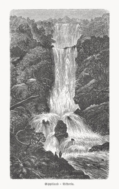 깁스랜드, 빅토리아, 오스트레일리아, 나무 조각의 폭포, 1893년 출판 - rainforest australia river waterfall stock illustrations