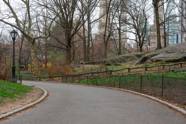 istock Empty Walkway at Central Park during Spring in New York City 1223639721