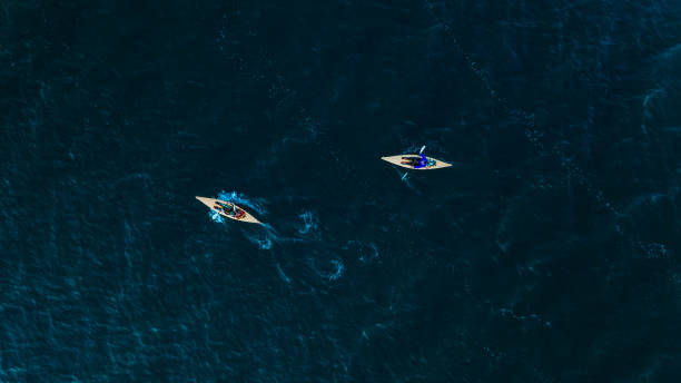 istock Aerial view of people doing sea kayaking 1223642307