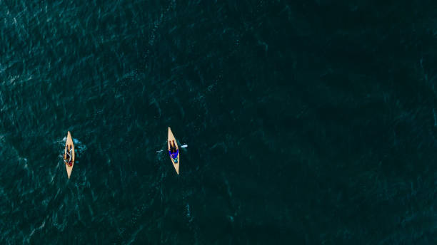 istock Aerial view of people doing sea kayaking 1223642847
