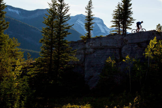 istock Mountain Bike Rider 1223647916