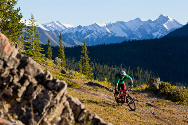 istock Mountain Bike Adventure 1223648451