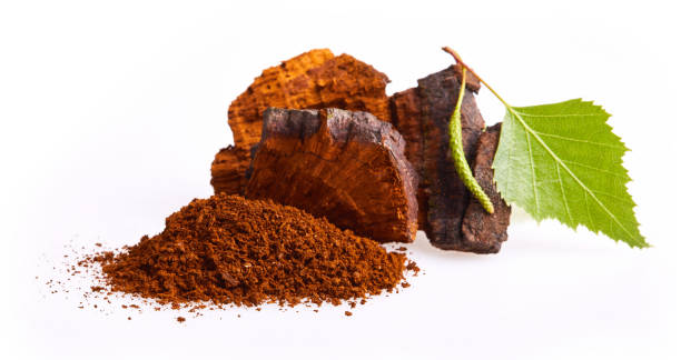 istock Natural Chaga mushroom pieces with birch twig isolated 1223648607