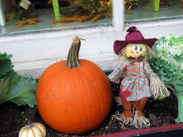 istock pumpkin decoration for autumn 1223650060