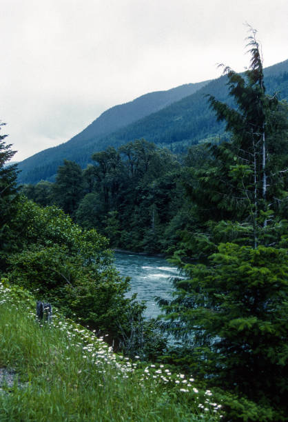 istock North Cascades NP - Mountain Stream - 1989 1223652047